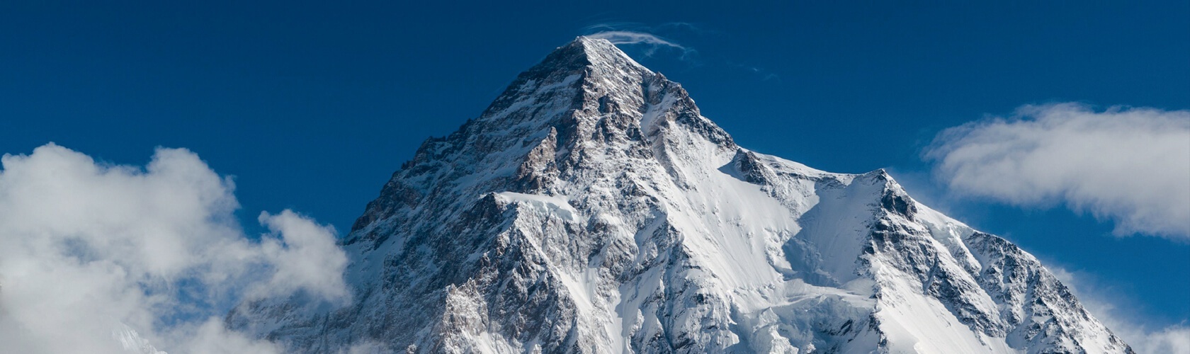 программа лояльности