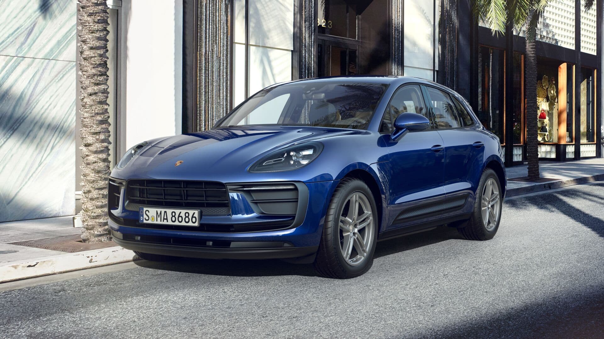 Macan
